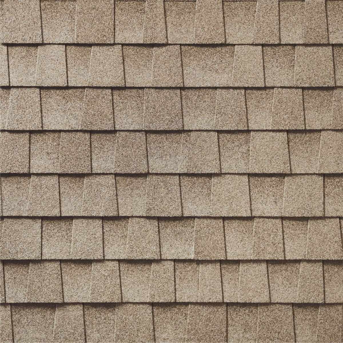 Austintatious Roofing Company Images