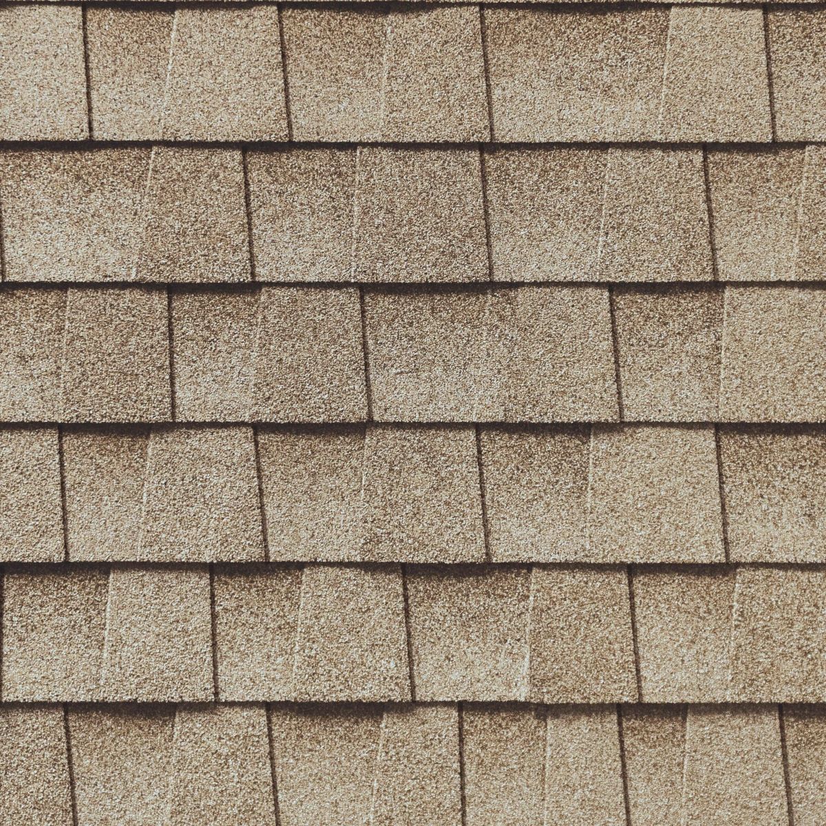 Austintatious Roofing Company Images