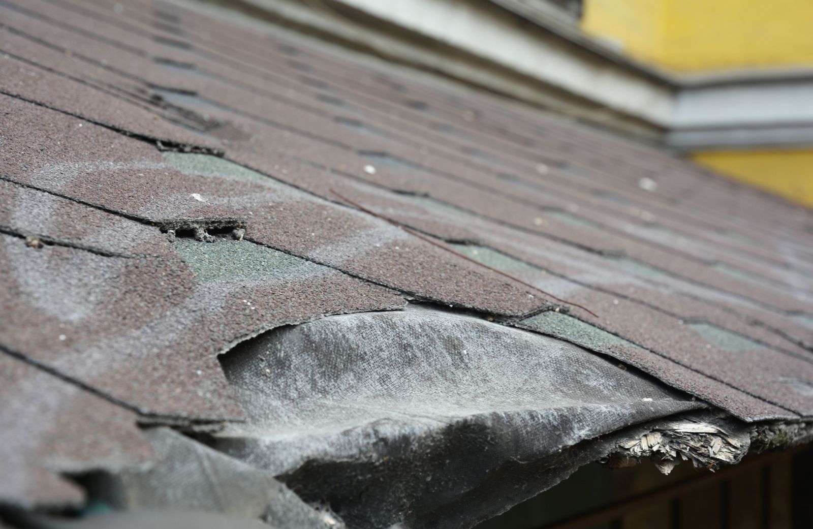 Austintatious Roofing Company Images