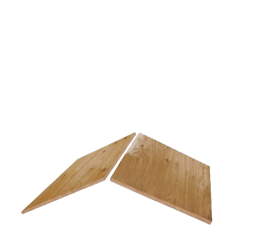 Austintatious Roofing Company Images