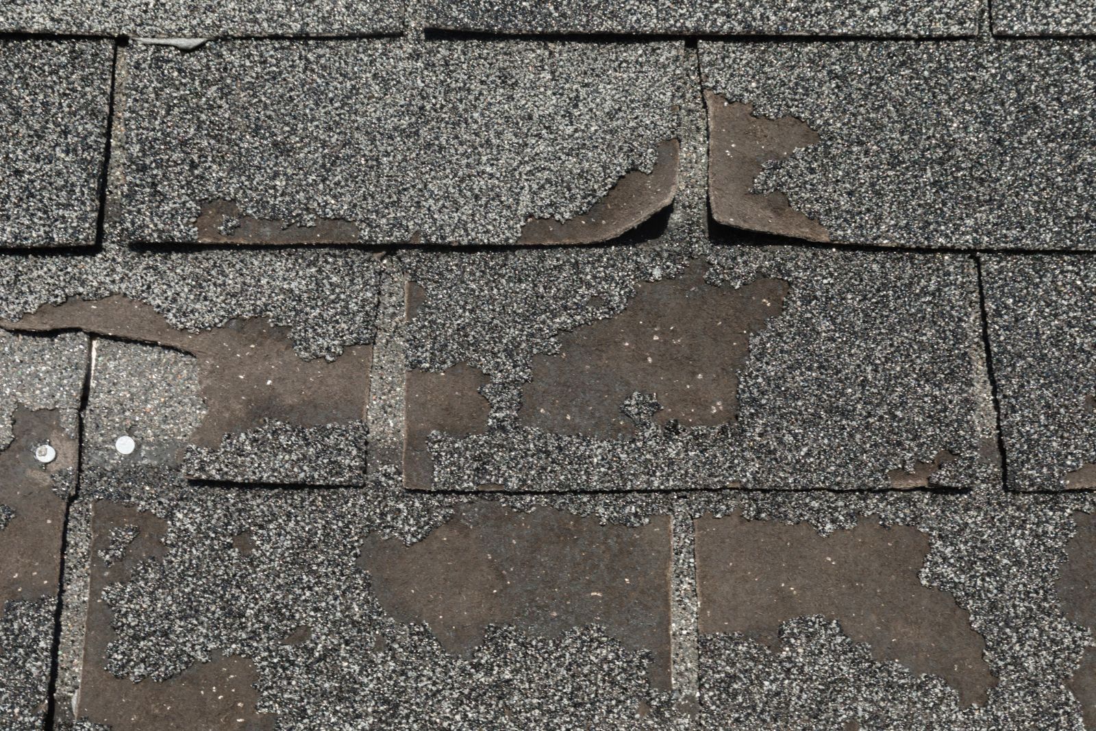 Austintatious Roofing Company Images
