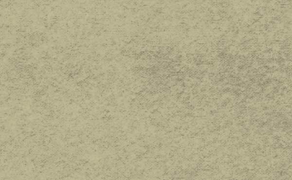 Austintatious Roofing Company Images