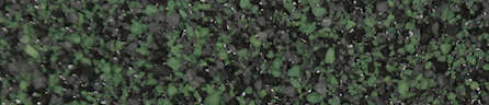 Austintatious Roofing Company Images