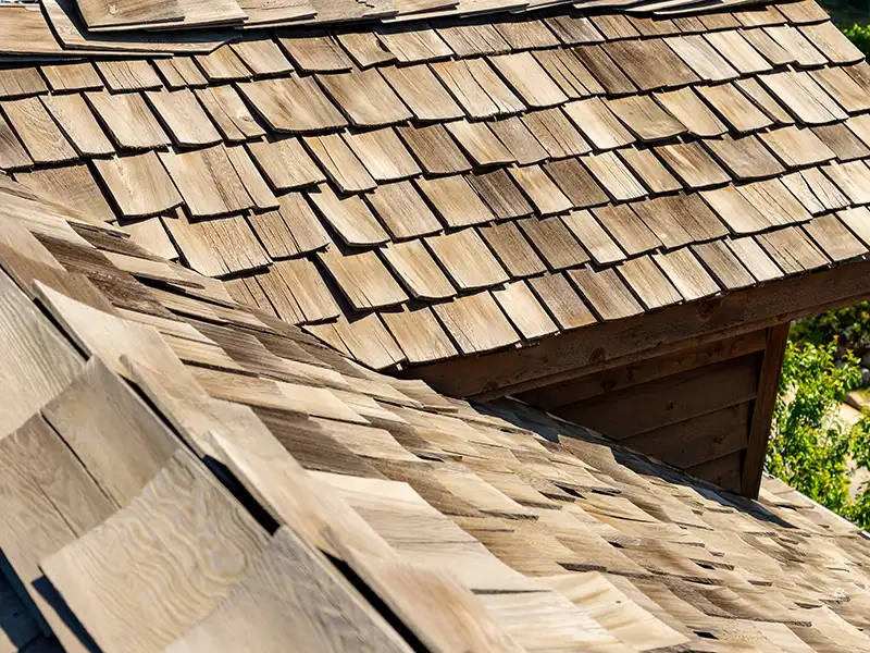 Wood shake shingle roof system