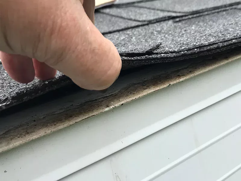 Worker inspecting under a roof shingle
